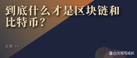 到底什么才是区块链和比特币？——文哥插图